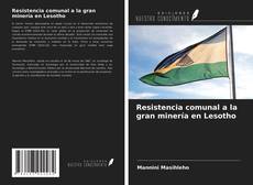 Bookcover of Resistencia comunal a la gran minería en Lesotho