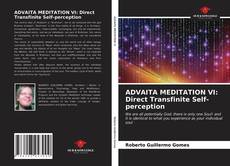 Bookcover of ADVAITA MEDITATION VI: Direct Transfinite Self-perception