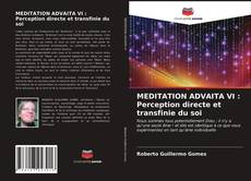 Bookcover of MEDITATION ADVAITA VI : Perception directe et transfinie du soi