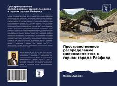 Обложка Пространственное распределение микроэлементов в горном городе Рейфилд