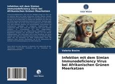 Infektion mit dem Simian Immunodeficiency Virus bei Afrikanischen Grünen Meerkatzen的封面