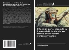 Buchcover von Infección por el virus de la inmunodeficiencia de los simios en los monos verdes africanos