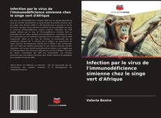 Couverture de Infection par le virus de l'immunodéficience simienne chez le singe vert d'Afrique