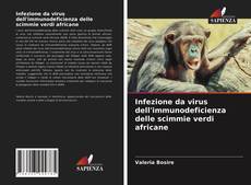 Copertina di Infezione da virus dell'immunodeficienza delle scimmie verdi africane