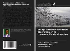 Bookcover of Encapsulación y liberación controlada en la conservación de alimentos