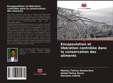 Couverture de Encapsulation et libération contrôlée dans la conservation des aliments