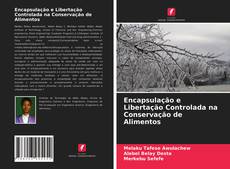 Capa do livro de Encapsulação e Libertação Controlada na Conservação de Alimentos 