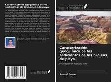 Bookcover of Caracterización geoquímica de los sedimentos de los núcleos de playa