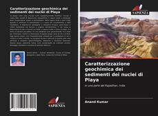 Copertina di Caratterizzazione geochimica dei sedimenti dei nuclei di Playa