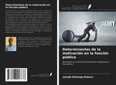 Bookcover of Determinantes de la motivación en la función pública