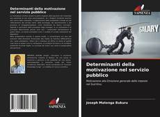 Determinanti della motivazione nel servizio pubblico kitap kapağı