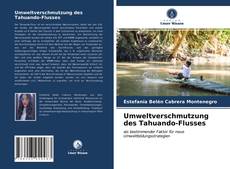 Copertina di Umweltverschmutzung des Tahuando-Flusses