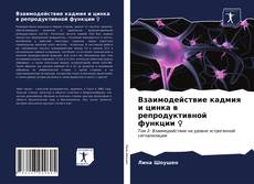 Обложка Взаимодействие кадмия и цинка в репродуктивной функции ♀