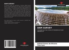 DAM SURVEY的封面