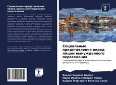 Обложка Социальные представления перед лицом вынужденного переселения