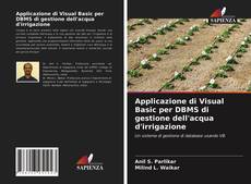 Applicazione di Visual Basic per DBMS di gestione dell'acqua d'irrigazione的封面