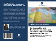 Kartographie und Bestandsaufnahme des Zustands ungeschützter Wasserbrunnen in Y的封面