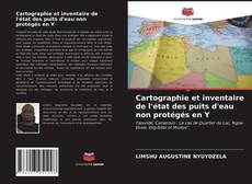 Cartographie et inventaire de l'état des puits d'eau non protégés en Y kitap kapağı