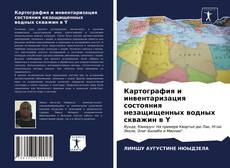 Обложка Картография и инвентаризация состояния незащищенных водных скважин в Y