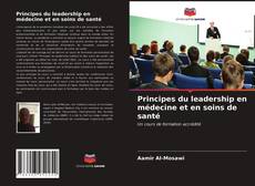 Principes du leadership en médecine et en soins de santé kitap kapağı