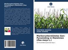 Portada del libro de Markerunterstütztes Gen-Pyramiding in Maislinien (Zea mays L.)