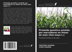 Bookcover of Pirámide genética asistida por marcadores en líneas de maíz (Zea mays L.)