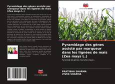 Copertina di Pyramidage des gènes assisté par marqueur dans les lignées de maïs (Zea mays L.)