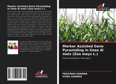 Marker Assisted Gene Pyramiding in linee di mais (Zea mays L.)的封面