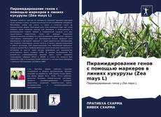 Обложка Пирамидирование генов с помощью маркеров в линиях кукурузы (Zea mays L)