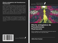 Bookcover of Efecto antagónico de Pseudomonas fluorescens