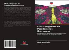 Copertina di Effet antagoniste de Pseudomonas fluorescens