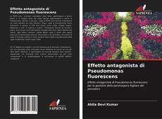 Effetto antagonista di Pseudomonas fluorescens的封面