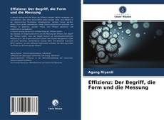 Portada del libro de Effizienz: Der Begriff, die Form und die Messung