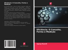 Eficiência: O Conceito, Forma e Medição的封面