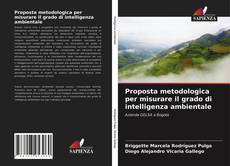 Proposta metodologica per misurare il grado di intelligenza ambientale kitap kapağı