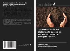 Buchcover von Caracterización del sistema de suelos en varios terrenos de Sringeri Taluku