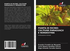 PIANTA DI RICINO: CULTIVAR PARAGUAÇU E NORDESTINA kitap kapağı