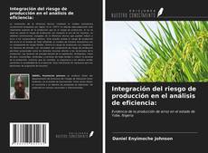 Bookcover of Integración del riesgo de producción en el análisis de eficiencia: