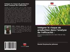 Copertina di Intégrer le risque de production dans l'analyse de l'efficacité :