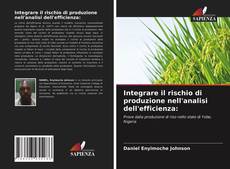 Integrare il rischio di produzione nell'analisi dell'efficienza: kitap kapağı