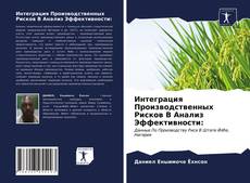 Обложка Интеграция Производственных Рисков В Анализ Эффективности: