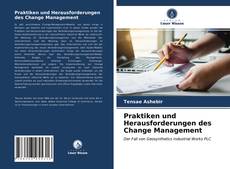 Praktiken und Herausforderungen des Change Management的封面