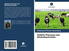 Capa do livro de Stabile Planung und Wickeltechniken 