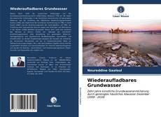 Обложка Wiederaufladbares Grundwasser