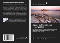 Bookcover of Aguas subterráneas recargables