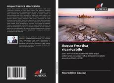 Acqua freatica ricaricabile kitap kapağı