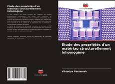 Copertina di Étude des propriétés d'un matériau structurellement inhomogène