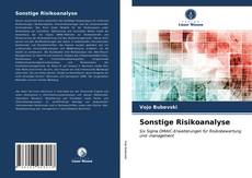 Portada del libro de Sonstige Risikoanalyse