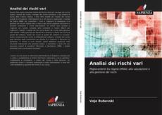 Analisi dei rischi vari kitap kapağı