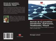 Copertina di Dérivés de la quinoléine: Introduction, Hydrazones, Thiadiazoles, Thiazol